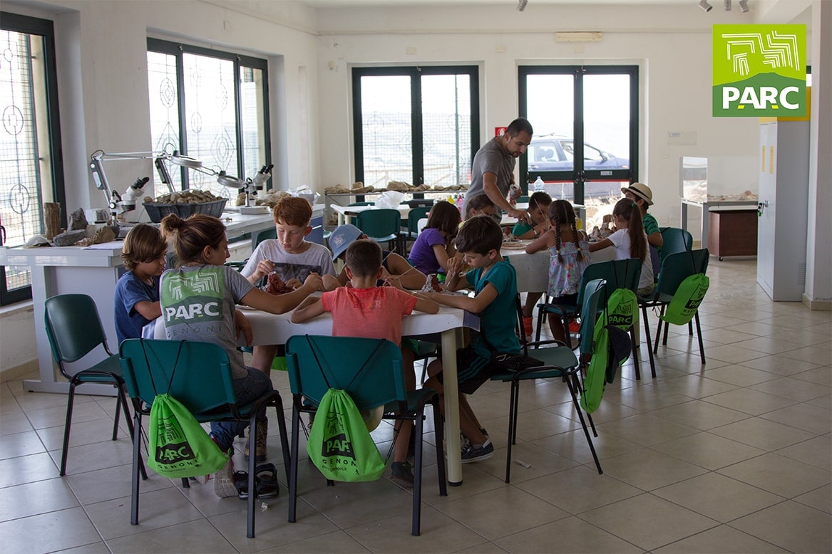 Simulazione lavoro del paleontologo al museo