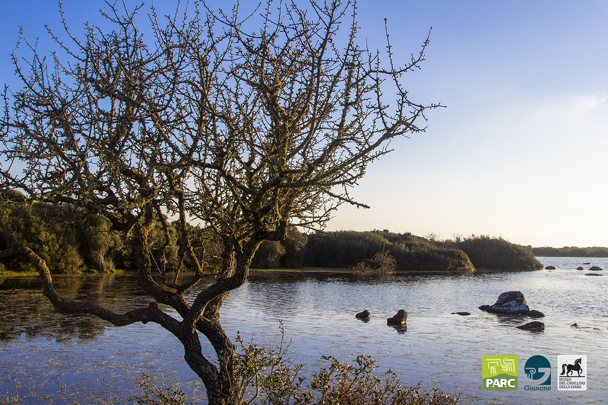 Visita guidata Parco della Giara