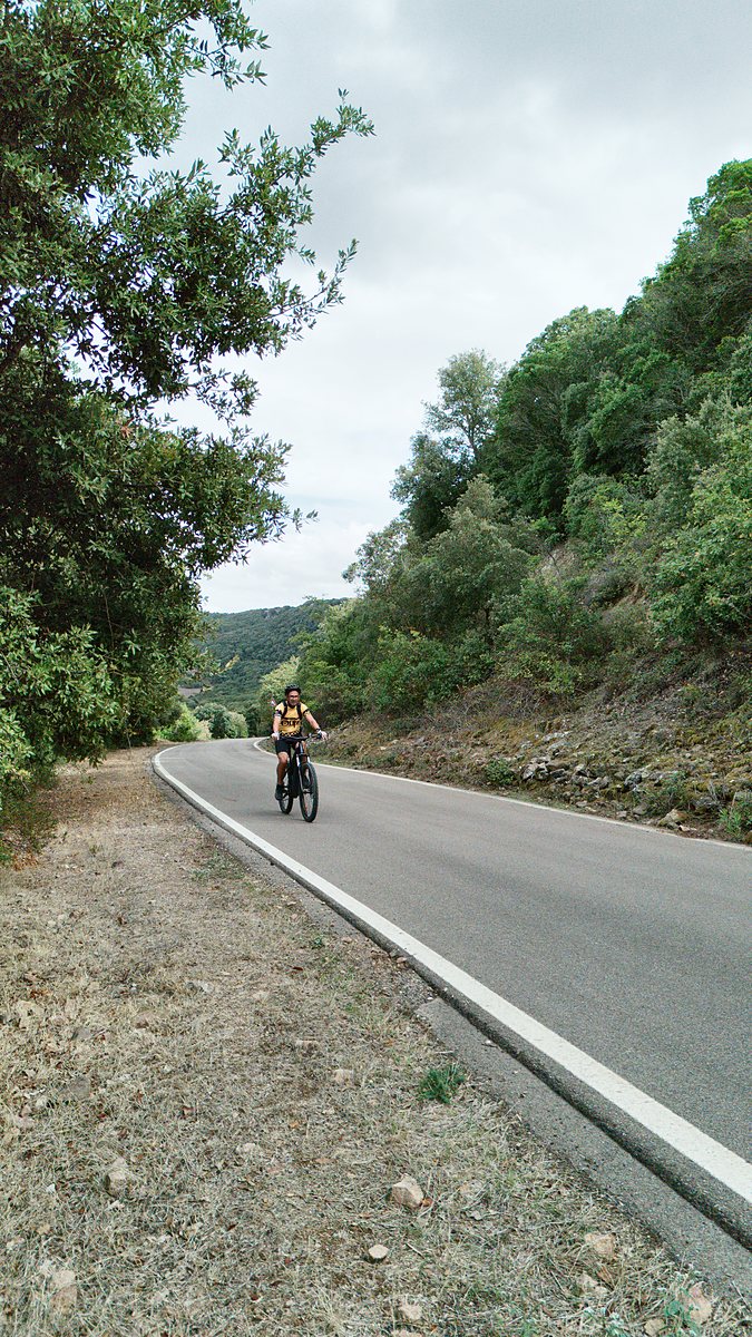 Ciclista in salita sulla strada panoramica verso l'altopiano della Giara di Gesturi