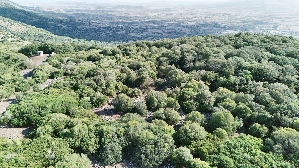 Vista panoramica dal bordo dell'altopiano della Giara sulla Marmilla